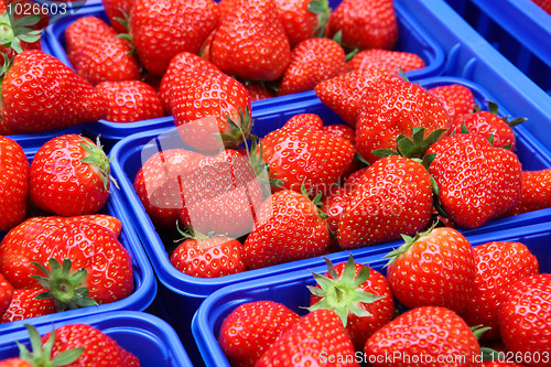 Image of Fresh strawberries