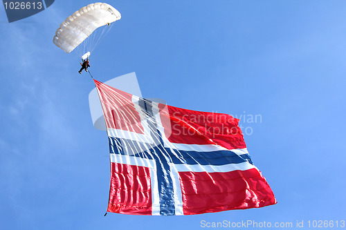 Image of Flag in the air