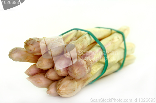 Image of Asparagus