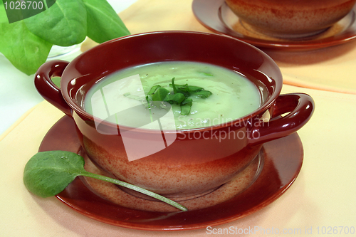 Image of Herb Soup