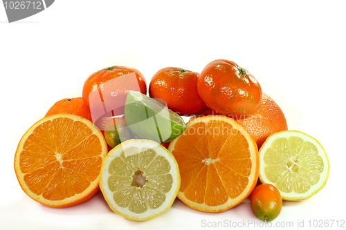 Image of Citrus Fruits