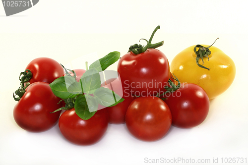 Image of Tomatoes