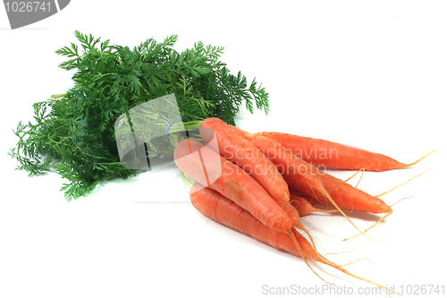 Image of Carrots