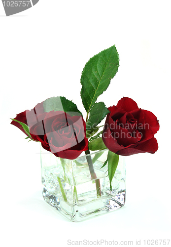 Image of Rose Bouquet
