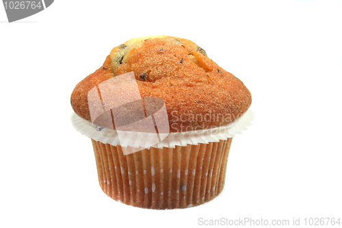 Image of Muffin