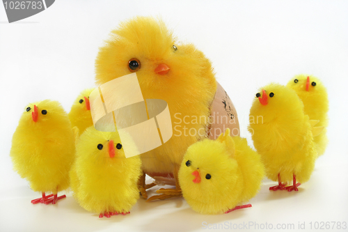 Image of Easter Chicks