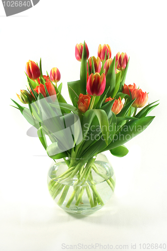 Image of Tulip bouquet