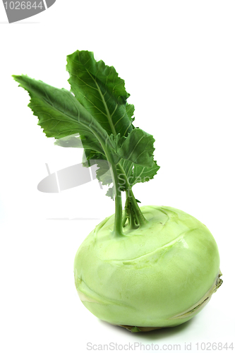 Image of Kohlrabi