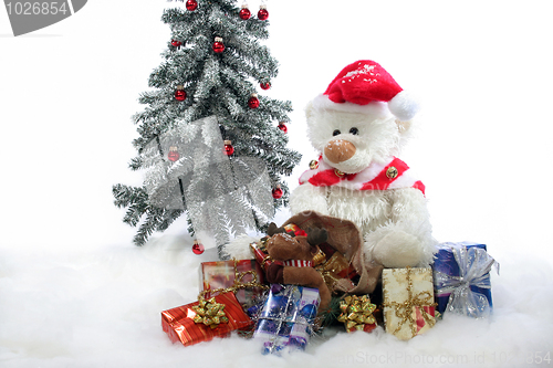 Image of Christmas Teddy