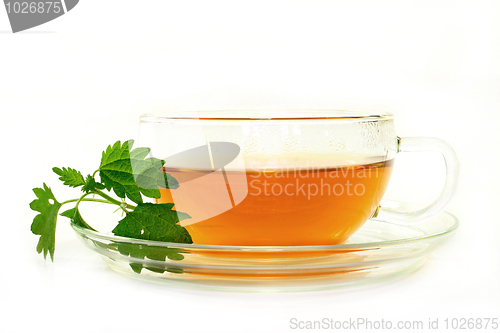 Image of Nettle tea