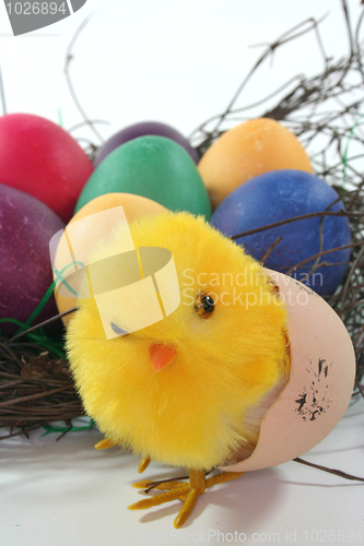 Image of Easter Chicks