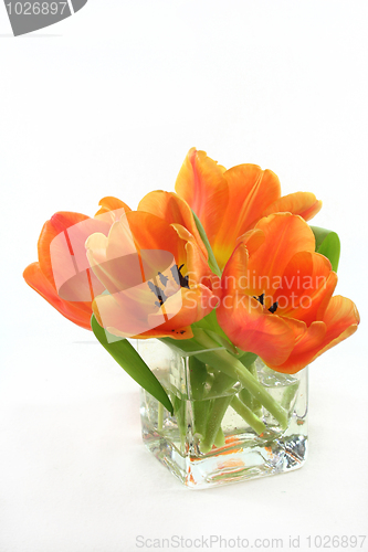 Image of Tulip bouquet