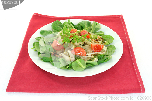 Image of Fennel salad