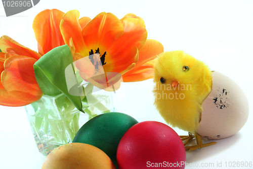 Image of Easter Chicks