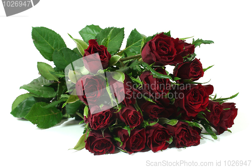 Image of Red Roses