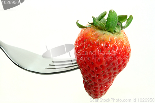 Image of Strawberry