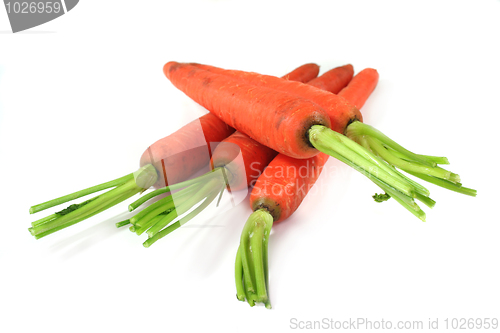 Image of Carrots