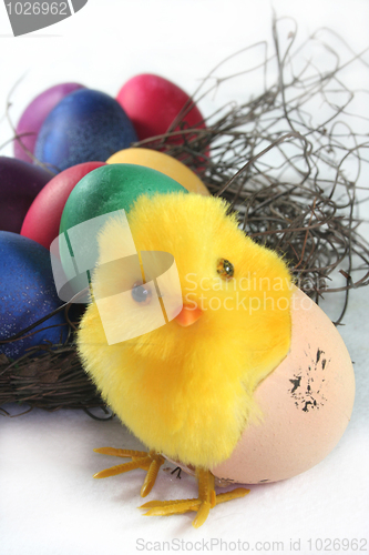 Image of Easter Chicks