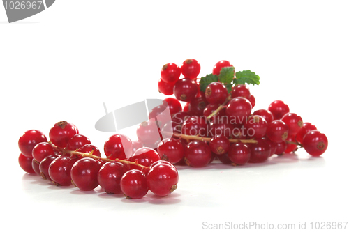 Image of Currants