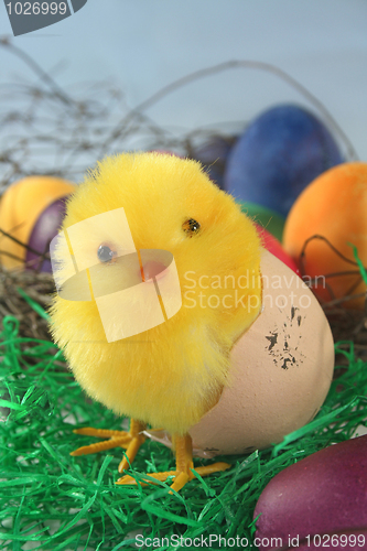 Image of Easter Chicks
