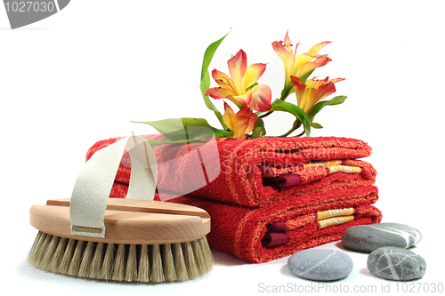 Image of Wellness