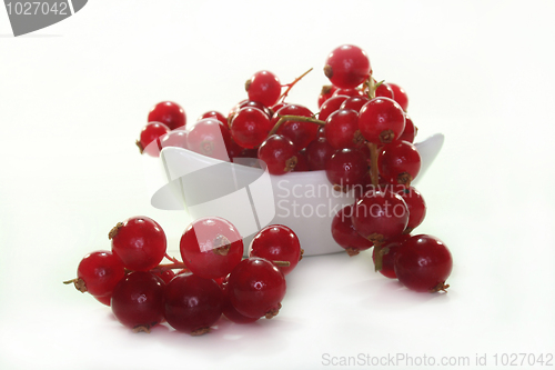 Image of Currants