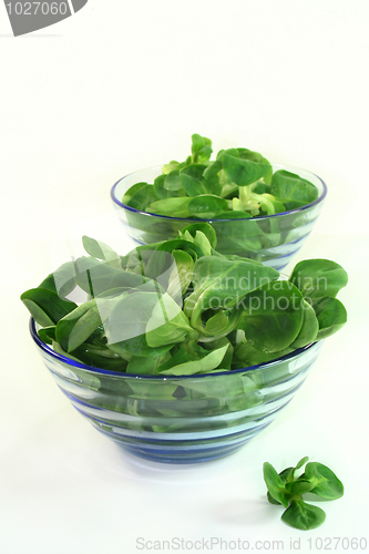 Image of Corn Salad