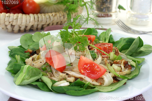 Image of Fennel salad