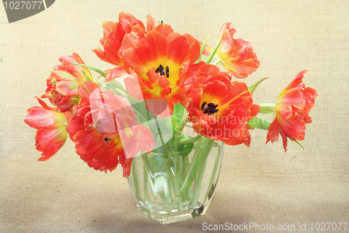 Image of Tulip bouquet