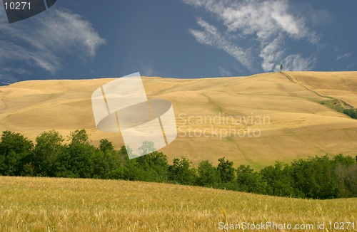 Image of Hills of Le Crete-Tuscany, Italy