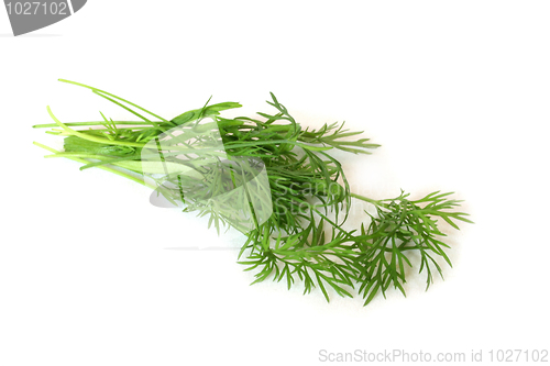 Image of Dill