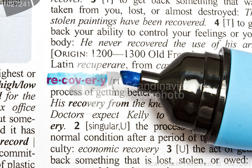 Image of The word " RECOVERY"