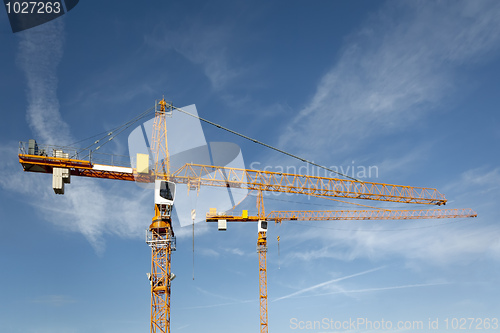 Image of crane