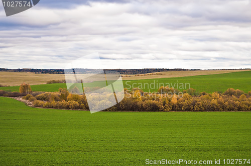 Image of Autumn Landscape