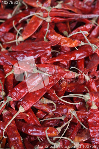 Image of Background of dried Chili peppers