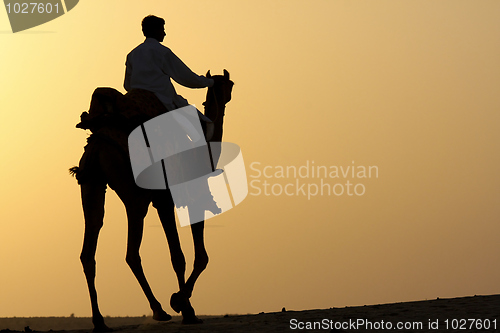 Image of Camel rider silhouette