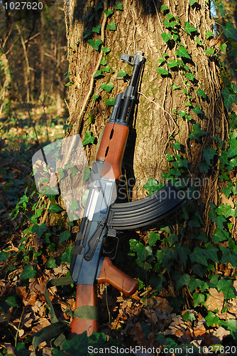 Image of  kalashnikov