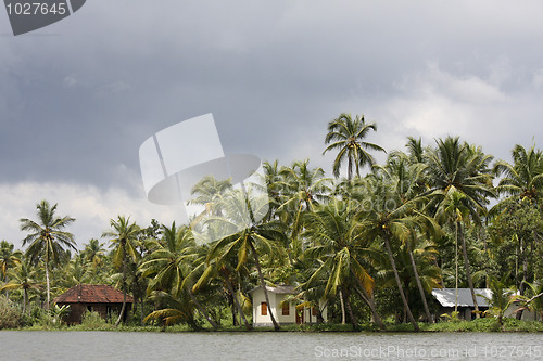 Image of Houses and palmtrees in Kerala, South India