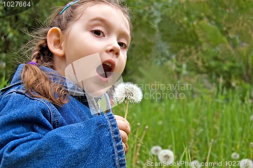 Image of Little girl with dandelion