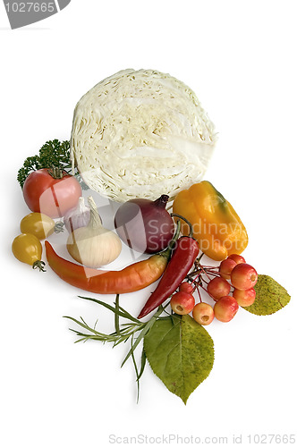 Image of Cabbage and Vegetables