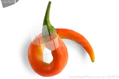 Image of Curl orange hot pepper