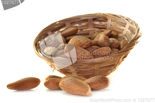 Image of Almond