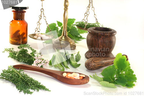 Image of Homeopathy