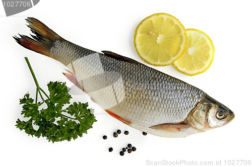Image of Fresh fish with lemon