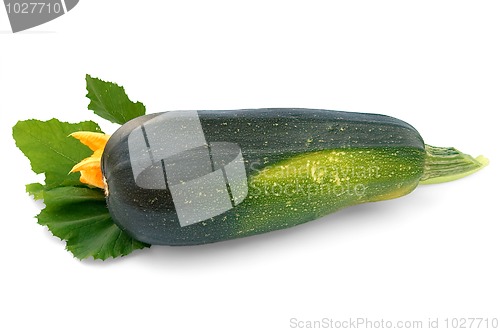 Image of Green zucchini