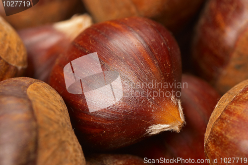 Image of Chestnuts