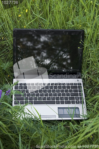 Image of Laptop on grass