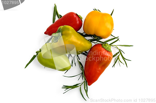 Image of Sweet pepper with tarragon