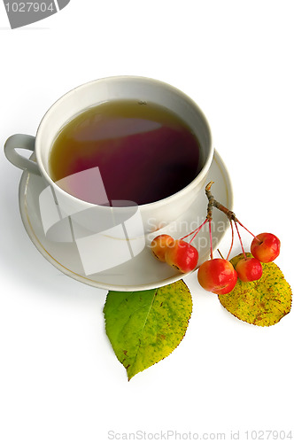 Image of Tea in a white cup and wild apples