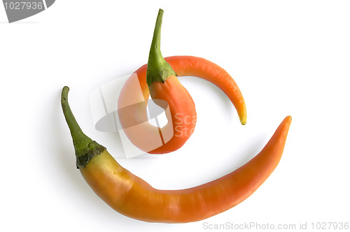 Image of Two orange hot pepper pod